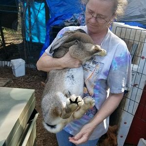 Meet your Posher, Barbara